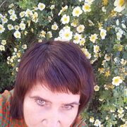 ���������� ��������������, ���� ������� �������, 48 ���, ������������ ��� ������, ���������