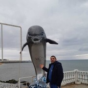 ���������� �����������, ���� ������� ����, 47 ���, ������������ ��� ������, ����� � ���������, c�������� ���������