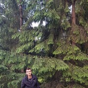  ,   , 31 ,     , c 