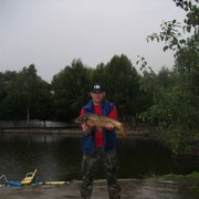 ���������� ����, ���� ������� ��������, 46 ���, ������������ 