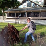 ���������� ������, ���� ������� �����, 36 ���, ������������ ��� ������, ����� � ���������, c�������� ���������