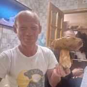  ,   , 46 ,   ,   , c , 