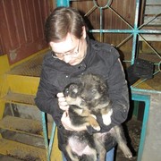 ���������� ������, ���� ������� ���������, 43 ����, ������������ ��� ������, ����� � ���������, c�������� ���������