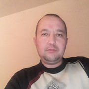  -,   , 43 ,   ,   , c 