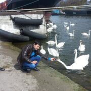  ,   Bahodir, 32 ,   ,   , c 