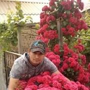 ���������� �������, ���� ������� Said, 32 ����, ������������ ��� ������