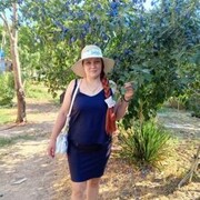  ,   , 42 ,   ,   