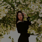 ���������� ������, �����