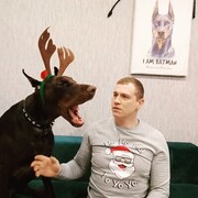 ���������� �����, ���� ������� �������, 41 ���, ������������ ��� ������, ����� � ���������