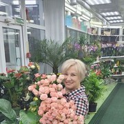 ���������� ������������, ���� ������� ��������, 53 ����, ������������ ��� ������, ����� � ���������, c�������� ���������, ���������