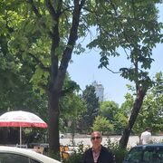 ���������� ����, ���� ������� Mehti, 65 ���, ������������ ��� ������, ����� � ���������