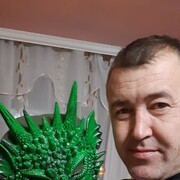  ,   , 41 ,   