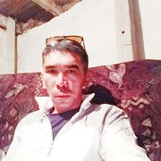  ,  , 44