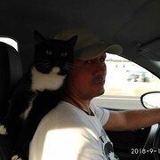  ,   , 55 ,     , c 