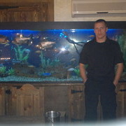 ���������� ������, ���� ������� Den, 36 ���, ������������ ��� ������, ����� � ���������, c�������� ���������