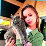 ���������� �����������, ������