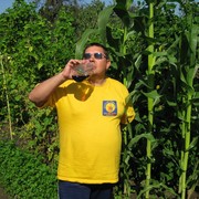  ,   , 52 ,   ,   , c 