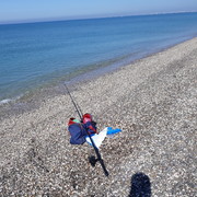 ���������� ���������, ���� ������� ������, 72 ����, ������������ ��� ������, ����� � ���������, c�������� ���������