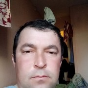 ,   , 46 ,   