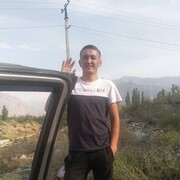 ���������� ������, ���� ������� Doni, 36 ���, ������������ ��� ������, ����� � ���������, c�������� ���������