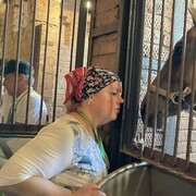 ���������� ������ ��������, ���� ������� ����, 50 ���, ������������ ��� ����� � ���������, c�������� ���������