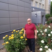  ,  vladimir, 64