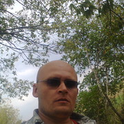   ,   , 41 ,   