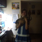 ���������� �������, ���� ������� ��������, 33 ����, ������������ ��� ������, ����� � ���������, c�������� ���������