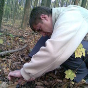  ,   , 41 ,   