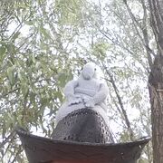 ���������� ������, ���� ������� ���������, 39 ���, ������������ ��� ������, ����� � ���������