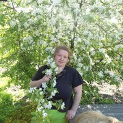 ���������� �������, ������� �����, 48