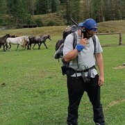 ���������� ������, ���� ������� ������, 29 ���, ������������ ��� ����� � ���������, c�������� ���������