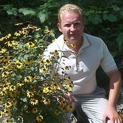 ���������� �����, ���� ������� �������, 38 ���, ������������ ��� ������, ����� � ���������, c�������� ���������