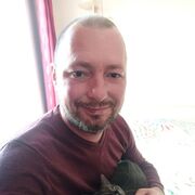  -,   , 40 ,   , 