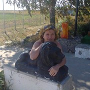  ,  , 44