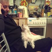  ,   , 68 ,   ,   