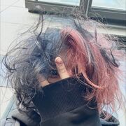 ���������� ������������, ���� ����� ����, 19 ���, ������������ ��� ������, ����� � ���������