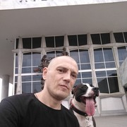 ���������� ����������, ���� ������� �������, 48 ���, ������������ ��� ������, ����� � ���������, c�������� ���������