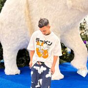 ���������� ������, ���� ����� Alexi, 21 ���, ������������ ��� ������, ����� � ���������