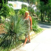  ,    , 48 ,   ,   