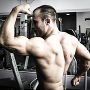  ,   Darss, 37 ,   