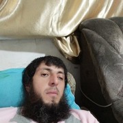 ���������� ������, ���� ������� Aslan, 38 ���, ������������ ��� ����� � ���������, c�������� ���������