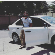 ���������� ���������, ���� ������� Sego, 31 ���, ������������ ��� ������, ����� � ���������, c�������� ���������