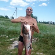 ���������� �����������, ���� ������� ����, 43 ����, ������������ ��� ������, ����� � ���������, c�������� ���������