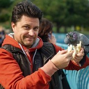 ���������� ������, ���� ������� ������, 50 ���, ������������ ��� ������, ����� � ���������, c�������� ���������