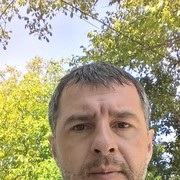  Jelcz,  , 41