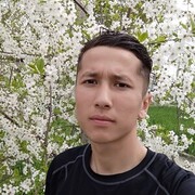  ,  davlat, 33