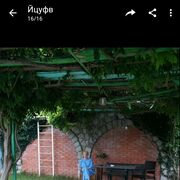 ���������� ���������, ���� ������� �����, 53 ����, ������������ ��� ������, ����� � ���������