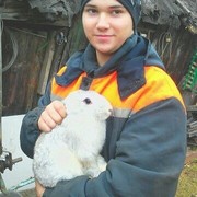 ���������� �������, ���� ������� C�����, 26 ���, ������������ ��� ����� � ���������, c�������� ���������