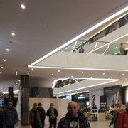  ,   , 54 ,   